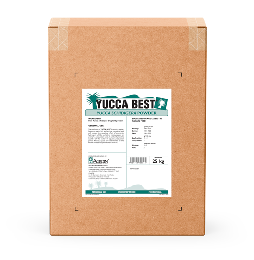 Producto